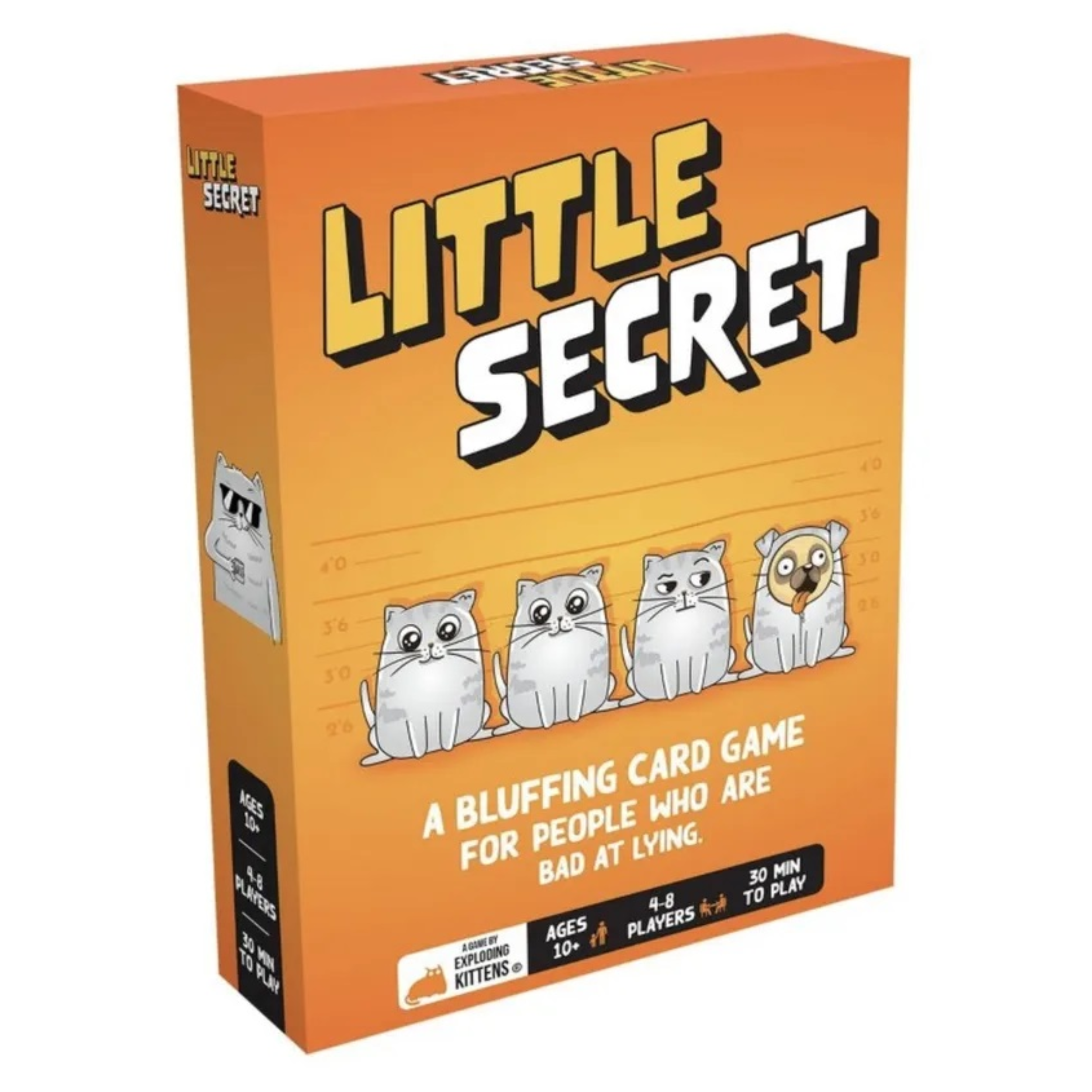 Little Secret - A Muse N Games